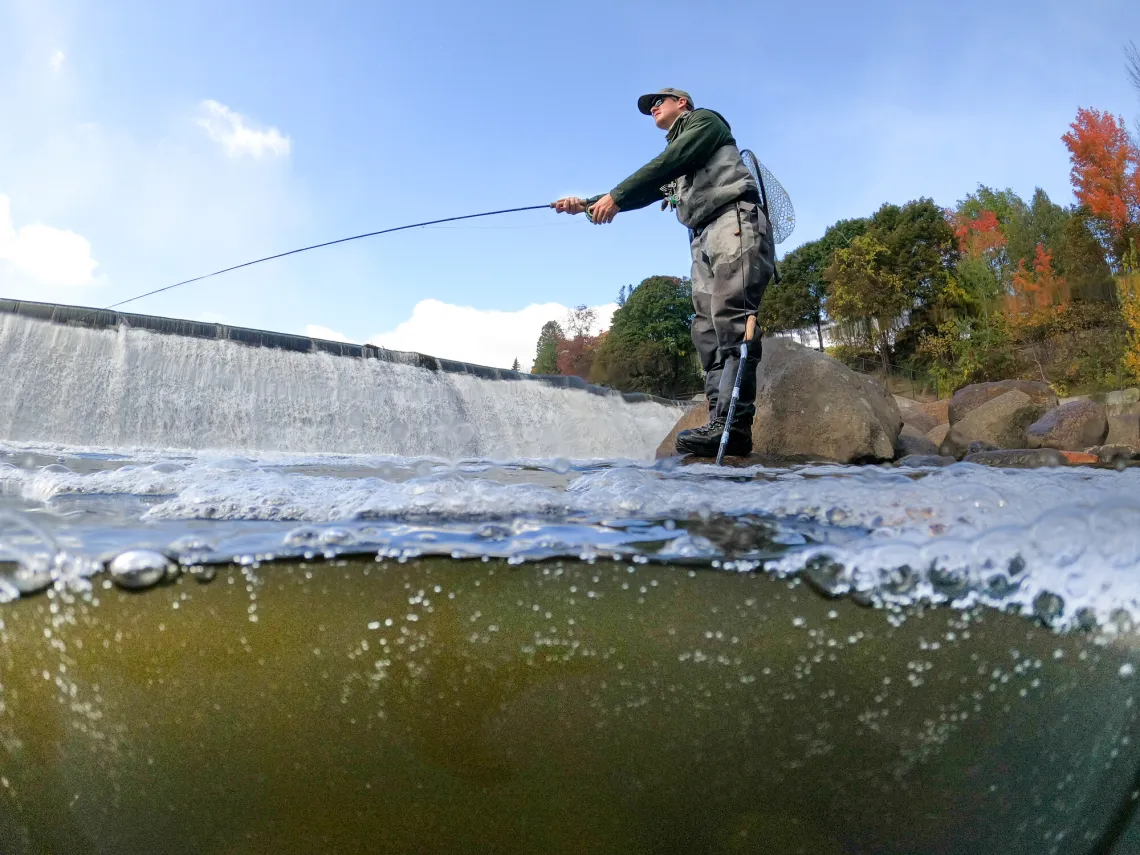 A man standing on a rock in the Ausable River fly fishes in front of a damn wearing wader. The camera captures part of the dark underwater scene as well.