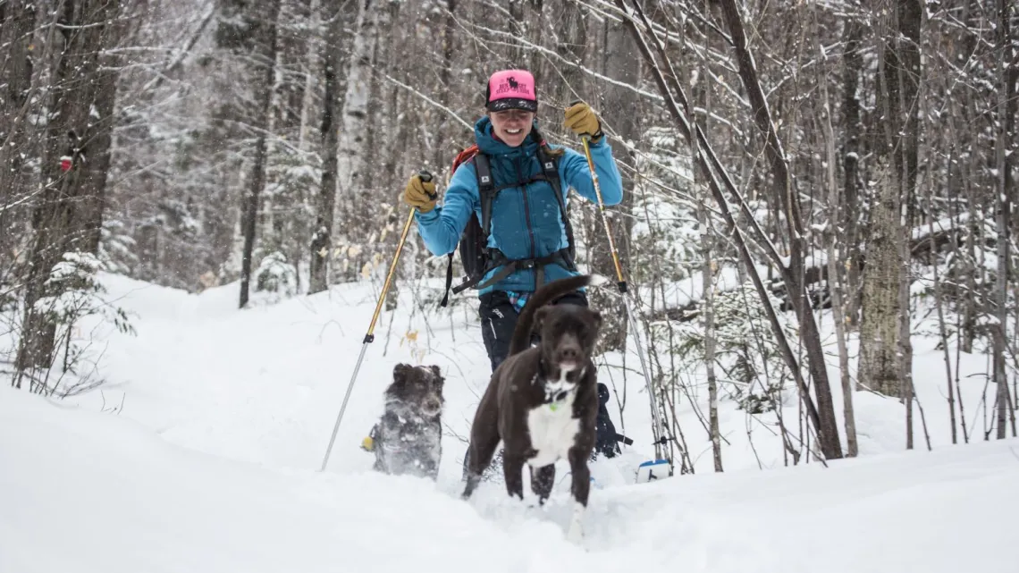 A woman in a light blue coat smiles as she cross country skis with two dogs.
